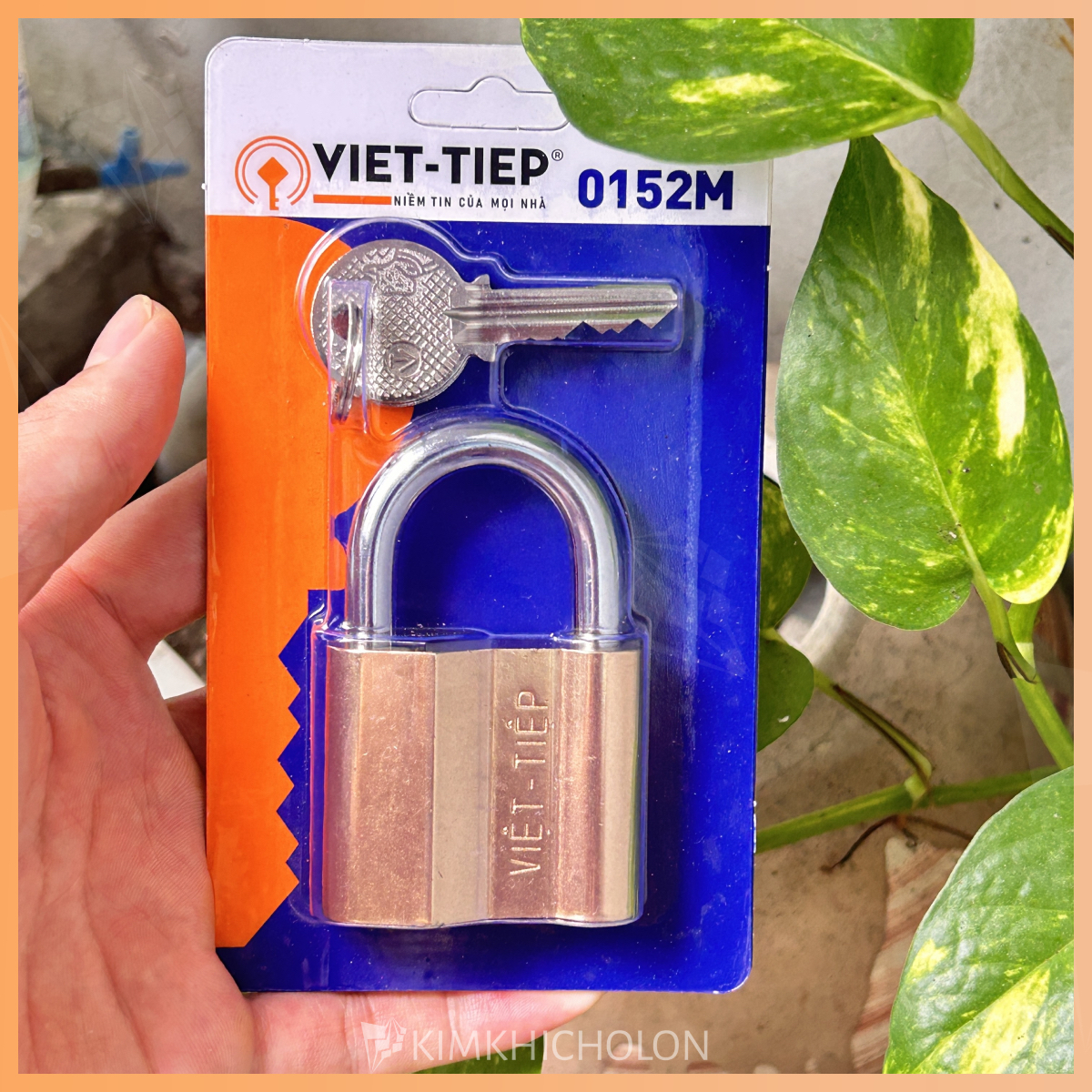 Ổ Khóa Cửa Việt Tiệp [Chính Hãng] - KimKhiChoLon.com
